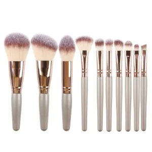 10 Mini Makeup Brushes Set Complete Blush and Eye Shadow Brushes Lip Brushes Beauty Tools, Silver