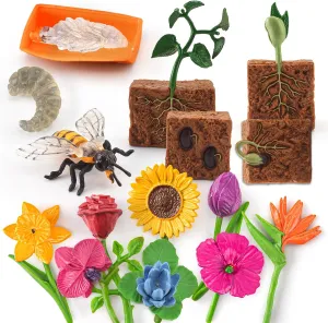 16PCS Life Cycle of Bee Figurines Plant Toy Flower Toys Set for Toddlers Age 3  Educational Project Diorama Kids Toys for Preschool Children