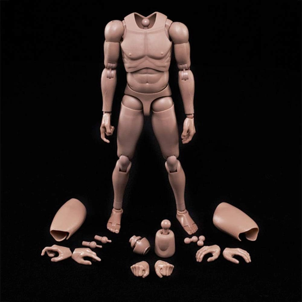 1:6 Scale Muscle Male Action Figure Europe Skin 12 Inch Flexible Male Figure Body Doll Miniature Figure Without Head Sculpt