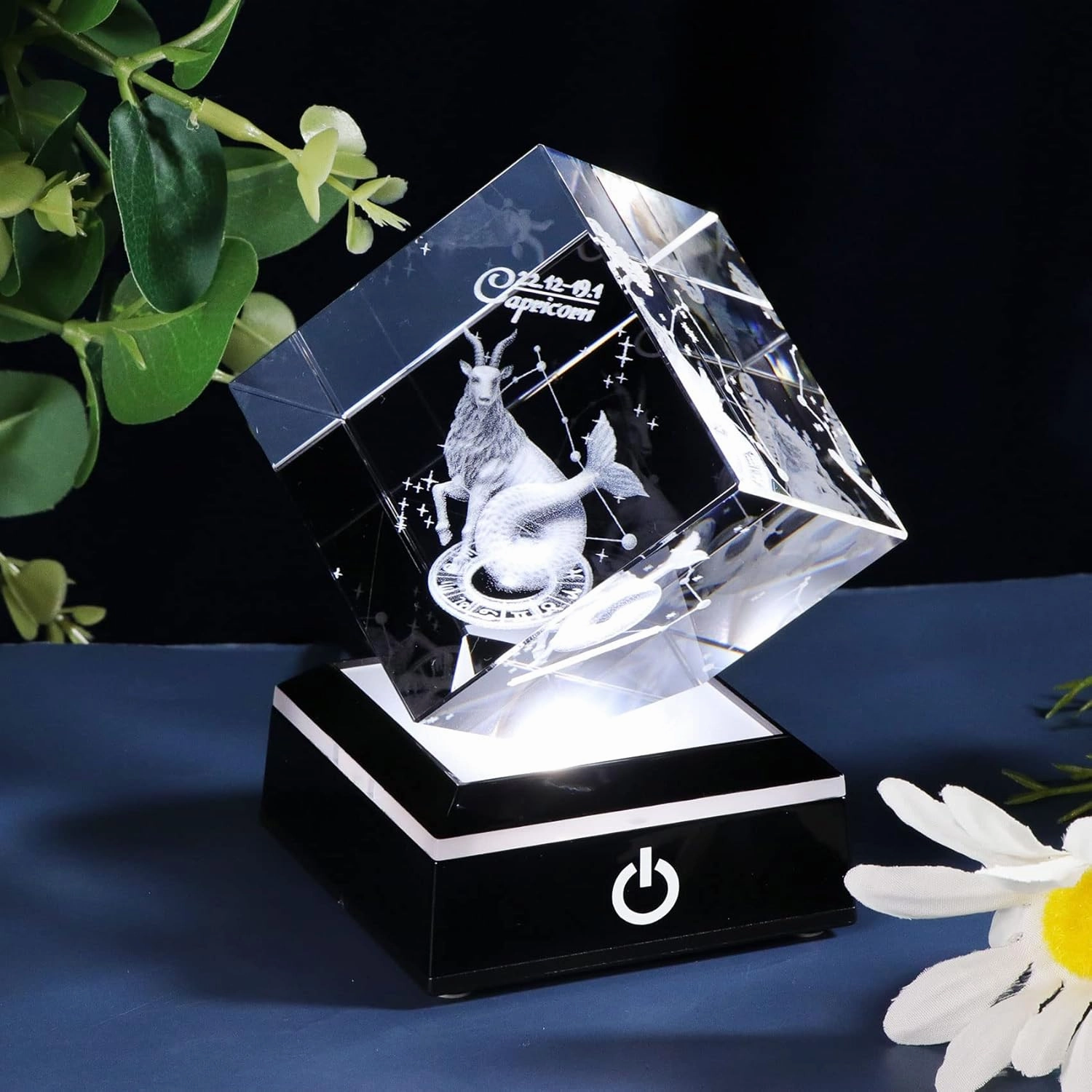 3d Crystals Capricorn Zodiac Astrology Gifts For Women Men,Capricorn Glass Figurine Decor Constellation Stuff December January Birthday Gifts For Girlfriend Woman Aunt Wife Keepsake Symbolic:Diligency