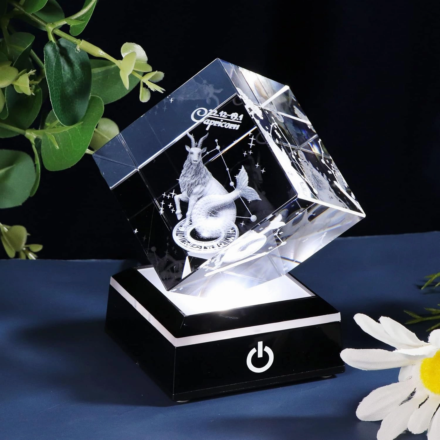 3d Crystals Capricorn Zodiac Astrology Gifts For Women Men,Capricorn Glass Figurine Decor Constellation Stuff December January Birthday Gifts For Girlfriend Woman Aunt Wife Keepsake Symbolic:Diligency