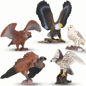5 PCS Birds of Prey Figurines, Plastic Realistic Animal Replica Models Toy Figures Educational Set for Kids & Adults Collection (Birds of Prey)