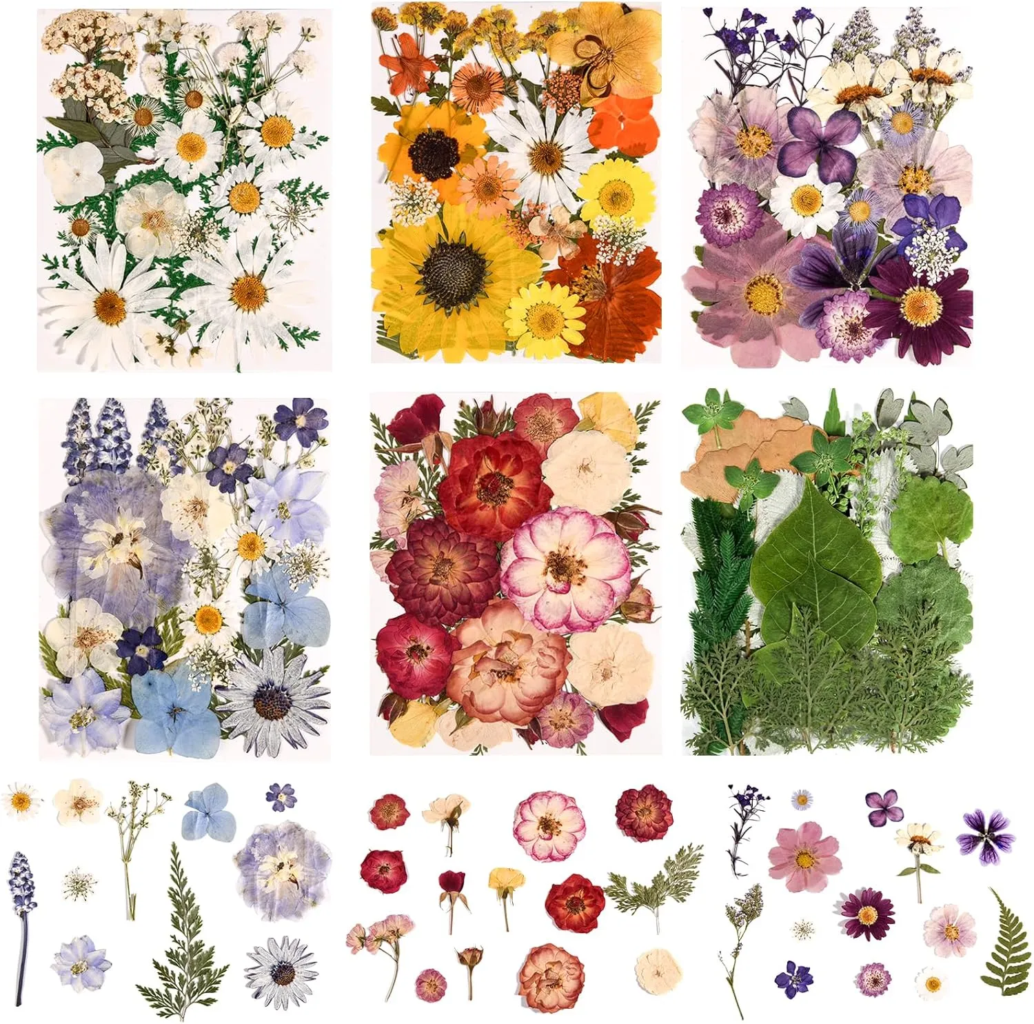 6 Pack 150PCS Real Pressed Dried Flowers Dry Leaves Craft Kit - Natural Dried Flowers for DIY Crafts, Resin Jewelry, Cards, Soap, CandleMaking, Nail Art, and Scrapbooking (Colorful)