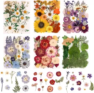 6 Pack 150PCS Real Pressed Dried Flowers Dry Leaves Craft Kit - Natural Dried Flowers for DIY Crafts, Resin Jewelry, Cards, Soap, CandleMaking, Nail Art, and Scrapbooking (Colorful)