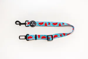 Adjustable Car Restraint | Watermelon