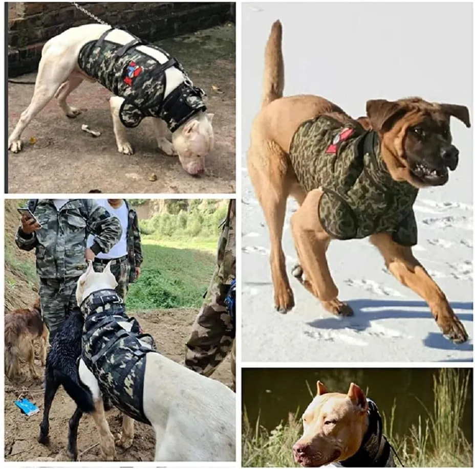 Adjustable Hunting Dog Vest with Collar Protection, Reflective Security Dog Clothes (Long Armor, M)