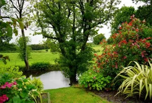 CSFOTO 8x6ft Garden Backdrop Spring Outdoor Picnic Countryside Photo Background for Photography Fields Tree Park River Spring Nature Landscape Decorative Banner