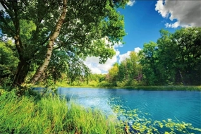 CSFOTO 10x8ft Park Scenery Backdrop River Blue Water and Tree Forest Garden Blue Sky Outdoor Picnic Spring Background Camping Hiking Photo Background Countryside Field Backdrop