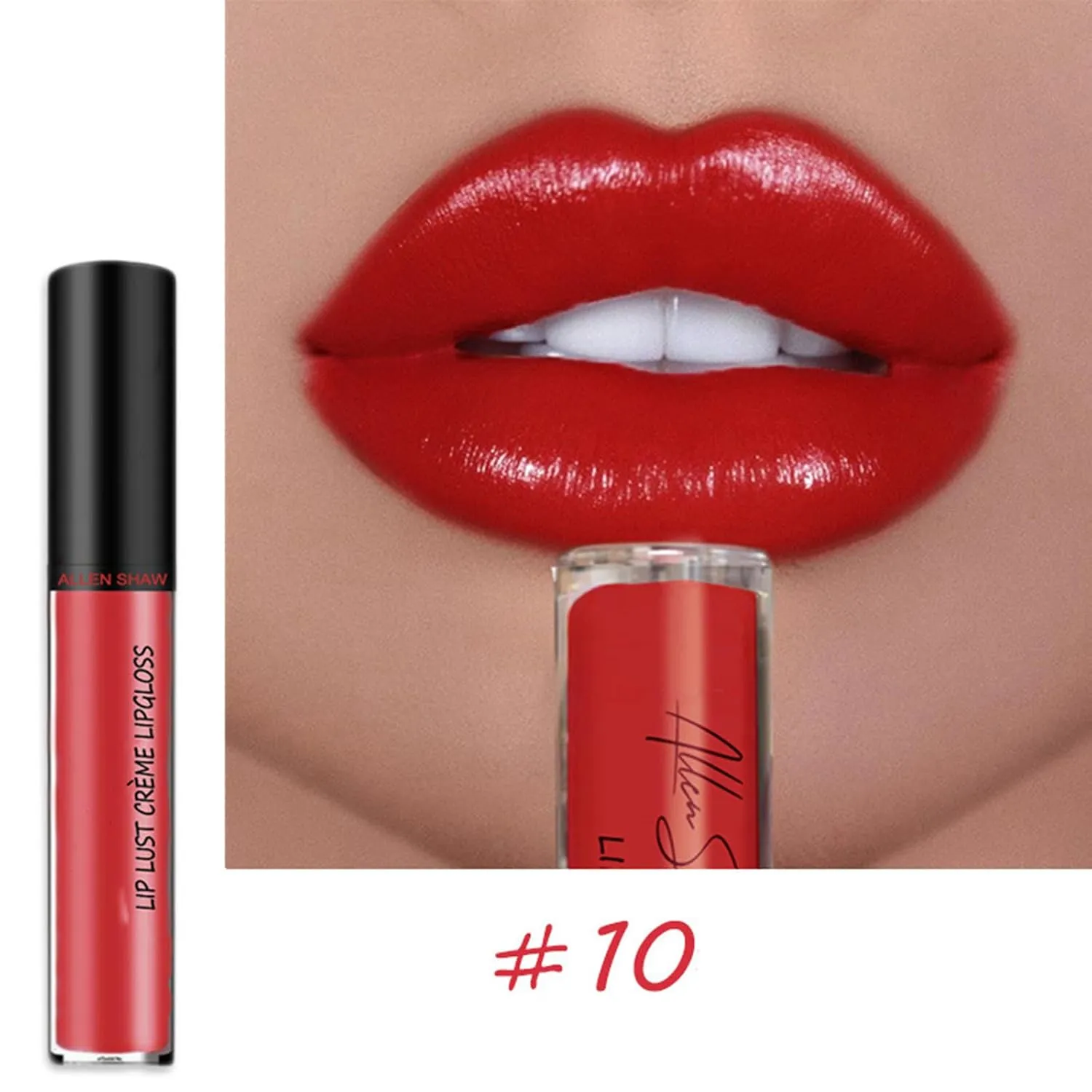 Hailnrothwad Lipstick,12 Colors Cream Texture Lipstick, Keep Shiny All Day with Waterproof, Smudge-Proof (10#Redhot)