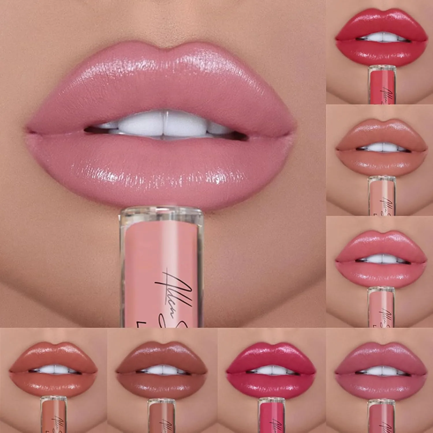 Hailnrothwad Lipstick,12 Colors Cream Texture Lipstick, Keep Shiny All Day with Waterproof, Smudge-Proof (1#Amore)