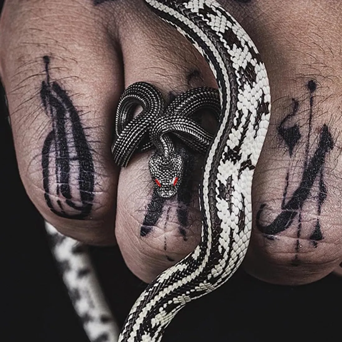 HAIXIAN Unisex Cool Wrap Snake Ring,Retro S925 Sterling Silver Punk Gothic Cocktail Party Biker Snake Animal Ring for Men Women