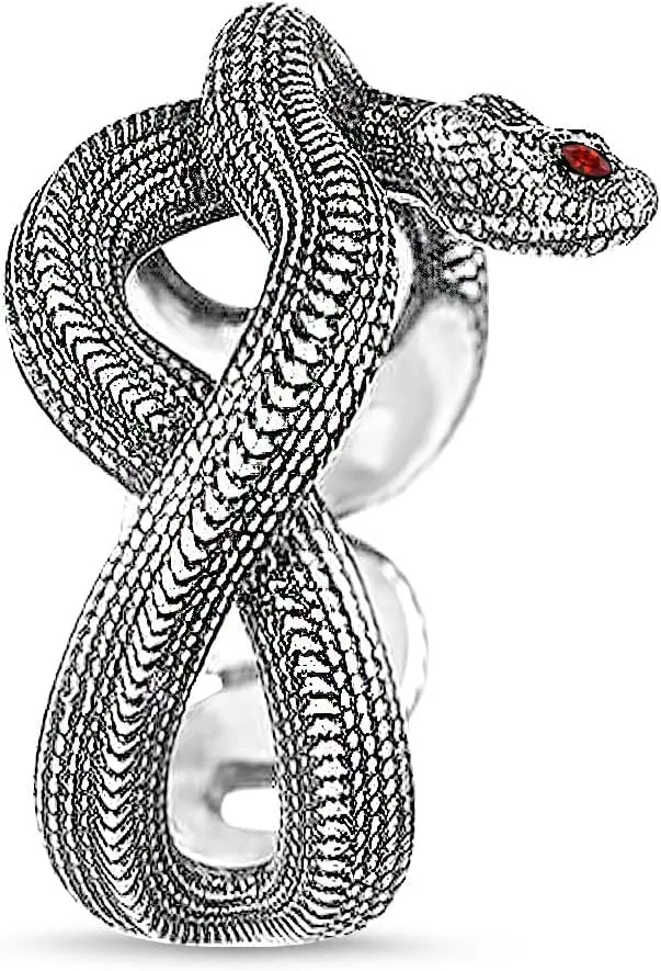 HAIXIAN Unisex Cool Wrap Snake Ring,Retro S925 Sterling Silver Punk Gothic Cocktail Party Biker Snake Animal Ring for Men Women
