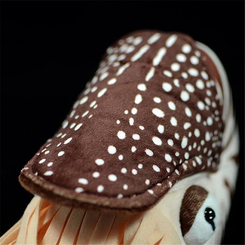 Lifelike Chambered Nautilus Plush Toy - Realistic Prehistoric Sea Creature Stuffed Animal for Marine Decor