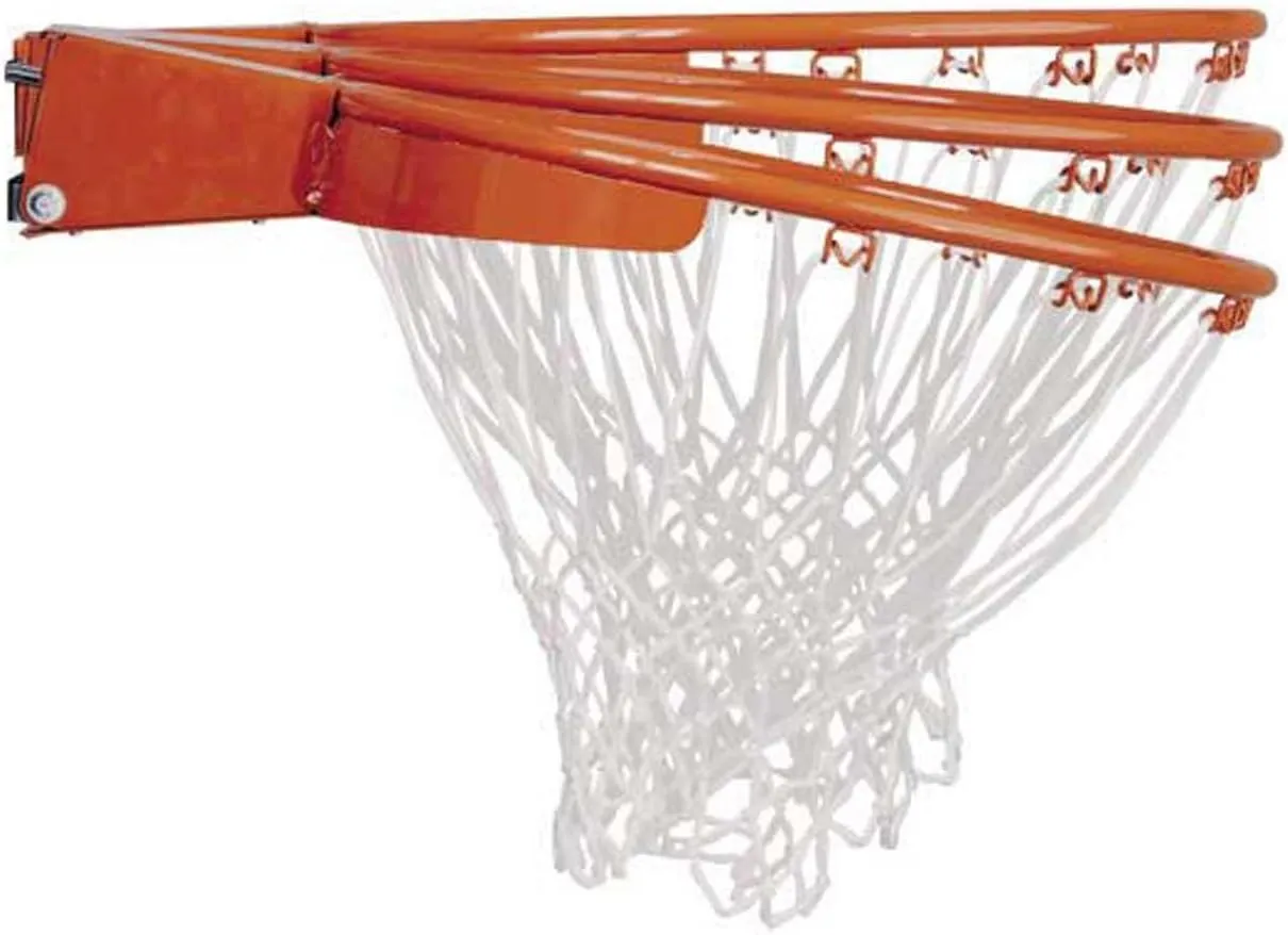 Lifetime Adjustable Basketball Hoop (54-Inch Polycarbonate)