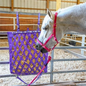 Majestic Ally Double Side Open Slow Feeder Hay Bag - Diamond Shaped Obliquely Placed Webbing (Purple)