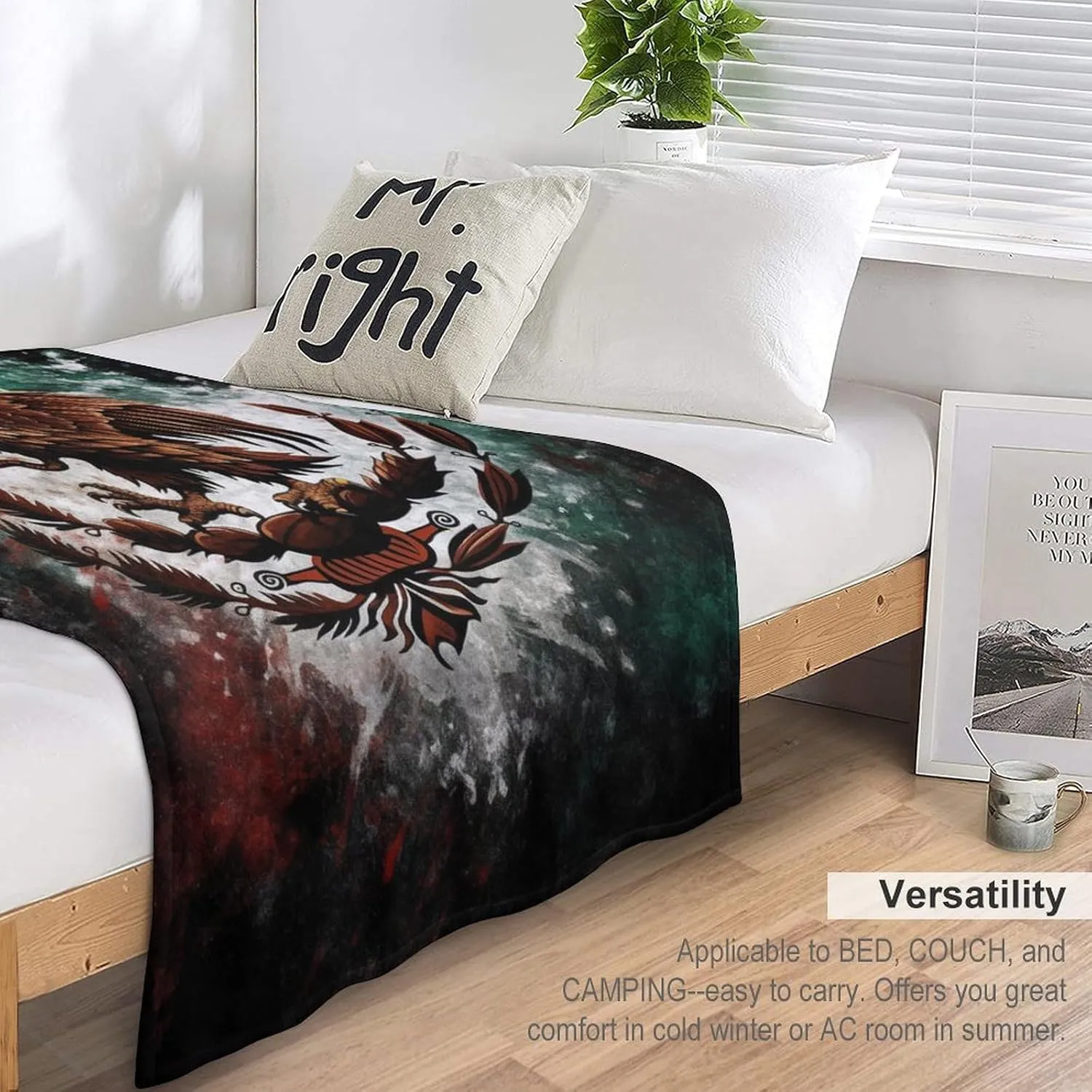 Mexico Blanket Fleece Blanket Throw Blanket, Bed, Camping, Travel, & Car Use All Seasons Suitable-C1-40x50