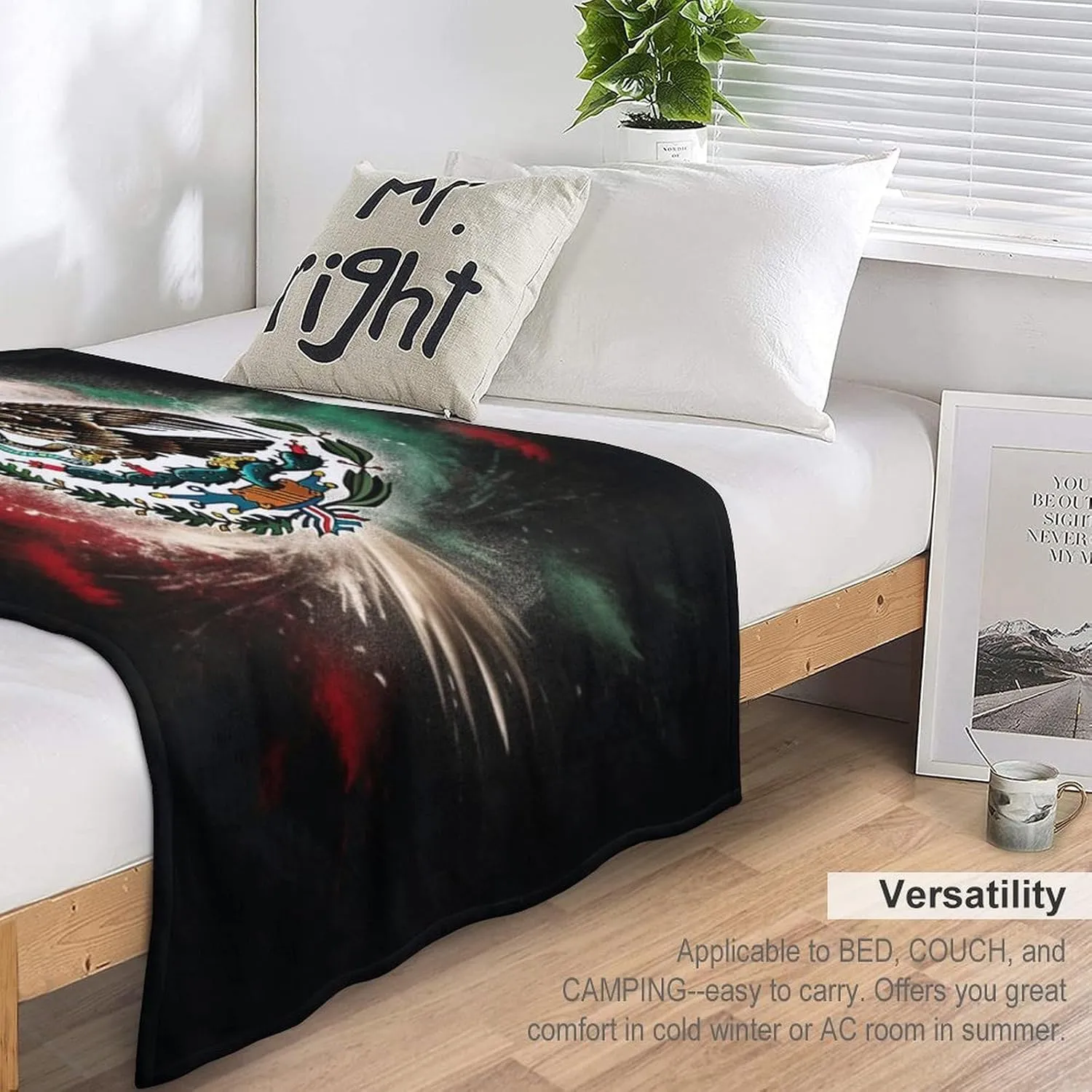 Mexico Blanket Fleece Blanket Throw Blanket, Bed, Camping, Travel, & Car Use All Seasons Suitable-C2-40x50