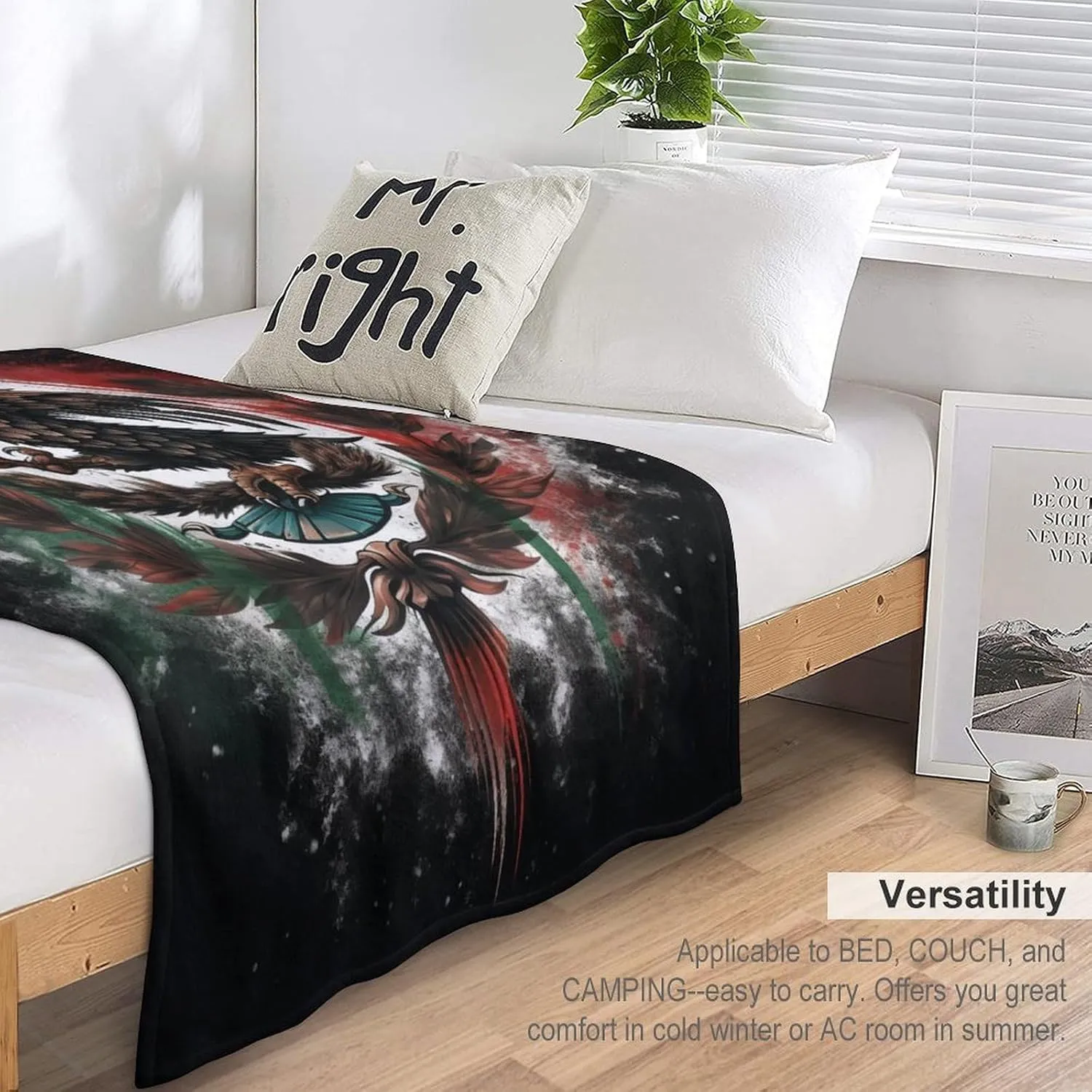 Mexico Blanket Fleece Blanket Throw Blanket, Bed, Camping, Travel, & Car Use All Seasons Suitable-C4-40x50