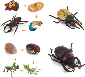 Realistic Insect Figurines Toy Playset Life Cycle Of Mantis Stag Beetle Figures Toy kit Stag Beetle And Hercules Beetle Model Figure Toy Early Educational And Science Toy For kids Toddlers 10 PCS