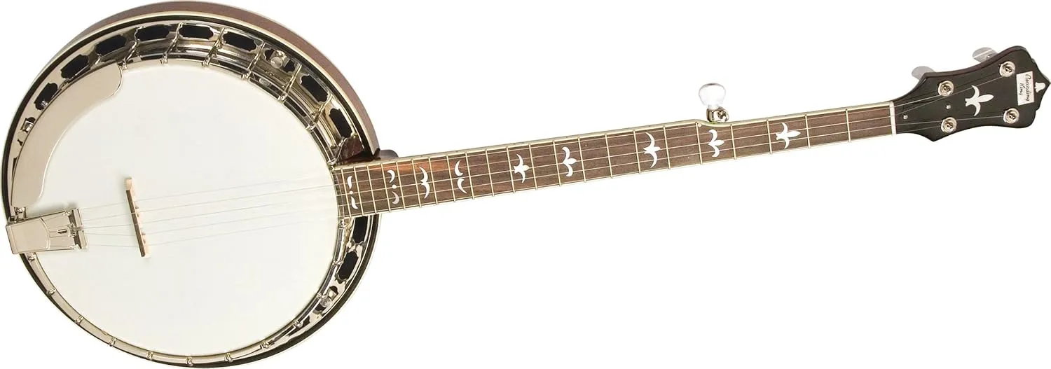 Recording King RK-R35-BR Madison Tone Ring Banjo, Maple Resonator