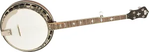 Recording King RK-R35-BR Madison Tone Ring Banjo, Maple Resonator