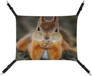 Squirrel Funny Face Cat Hanging Hammock Soft Breathable Pet Cage Dog Hammock with Adjustable Straps and Metal Hooks, style, 202403255