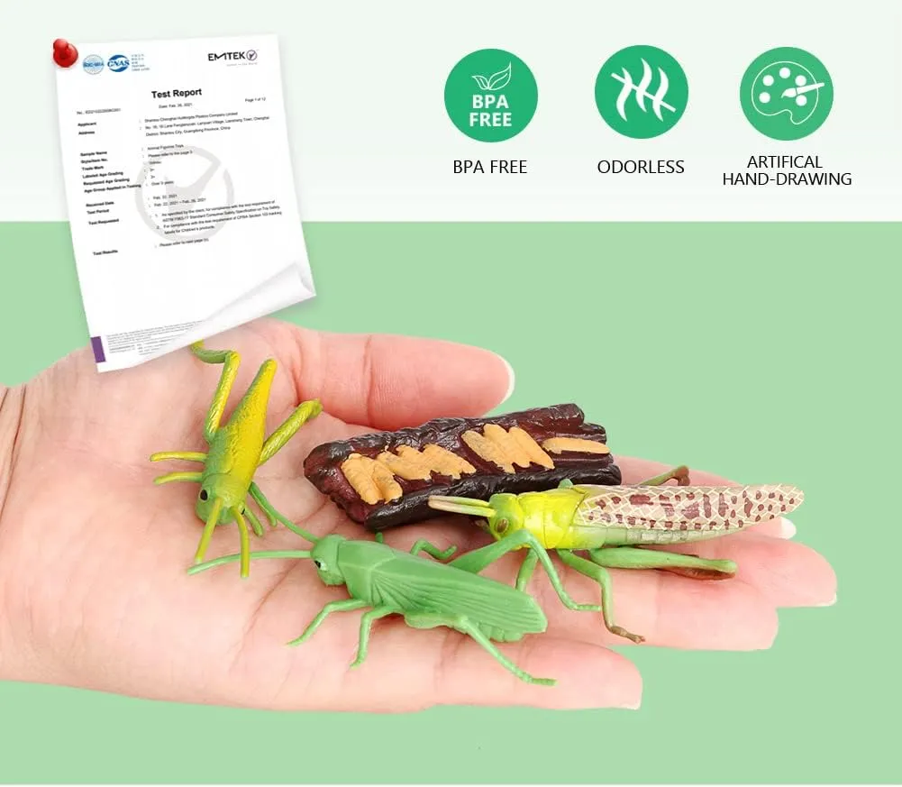 Volnau Animal Figurines Toys 16PCS Life Cycle Set Plant Locust Butterfly Caterpillars Bee Animal Figures for Toddlers Kids Decorations Preschool Educational Prop