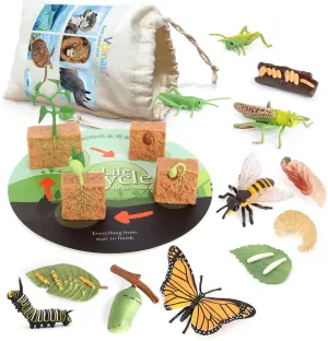 Volnau Animal Figurines Toys 16PCS Life Cycle Set Plant Locust Butterfly Caterpillars Bee Animal Figures for Toddlers Kids Decorations Preschool Educational Prop