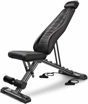 Weight Bench Adjustable and Foldable for Bench Press Strength Training and Full Body Workout in Your Home Gym