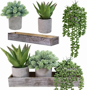 Winlyn Set of 3 Mini Potted Artificial Succulent Arrangement Faux String of Pearls Aloe Hops Succulent Plants in Rustic Decorative Wood Planter for Farmhouse Tabletop Shelves Indoor Greenery Décor